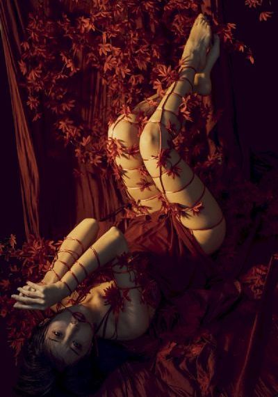 机器人总动员国语_BD英语在线视频观看